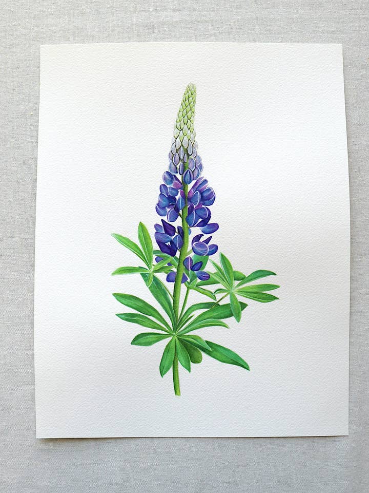 Lupine Flower | Original Watercolor Painting for wholesale by Gilded Palms