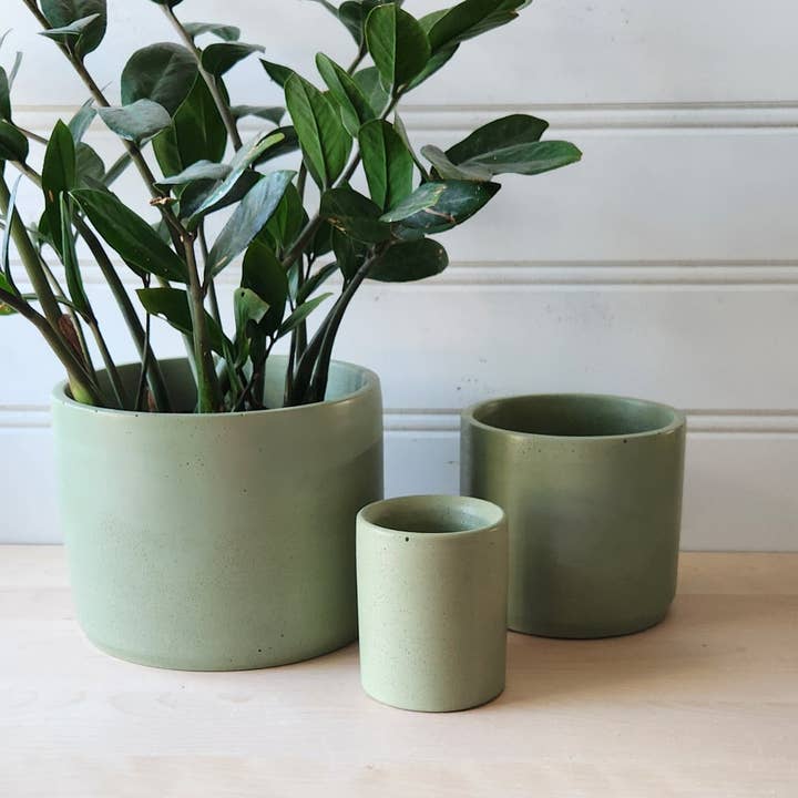 Plant 'er Here - Wholesale Plant Pot - Cylinder Planter- 3" 5" 7" Blush & Olive