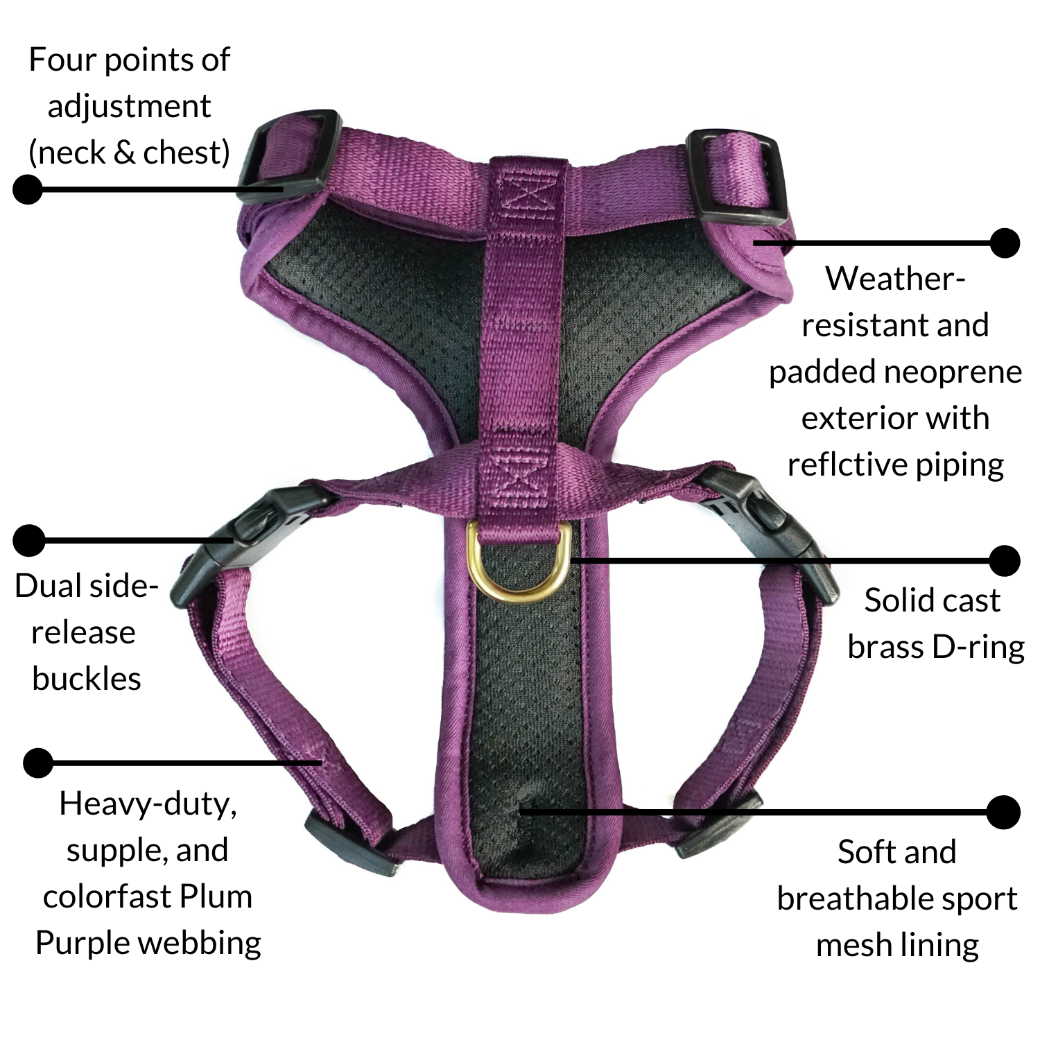 DJANGO - Wholesale Pet Harness - Dog - Adventure Dog Harness - Plum Purple4
