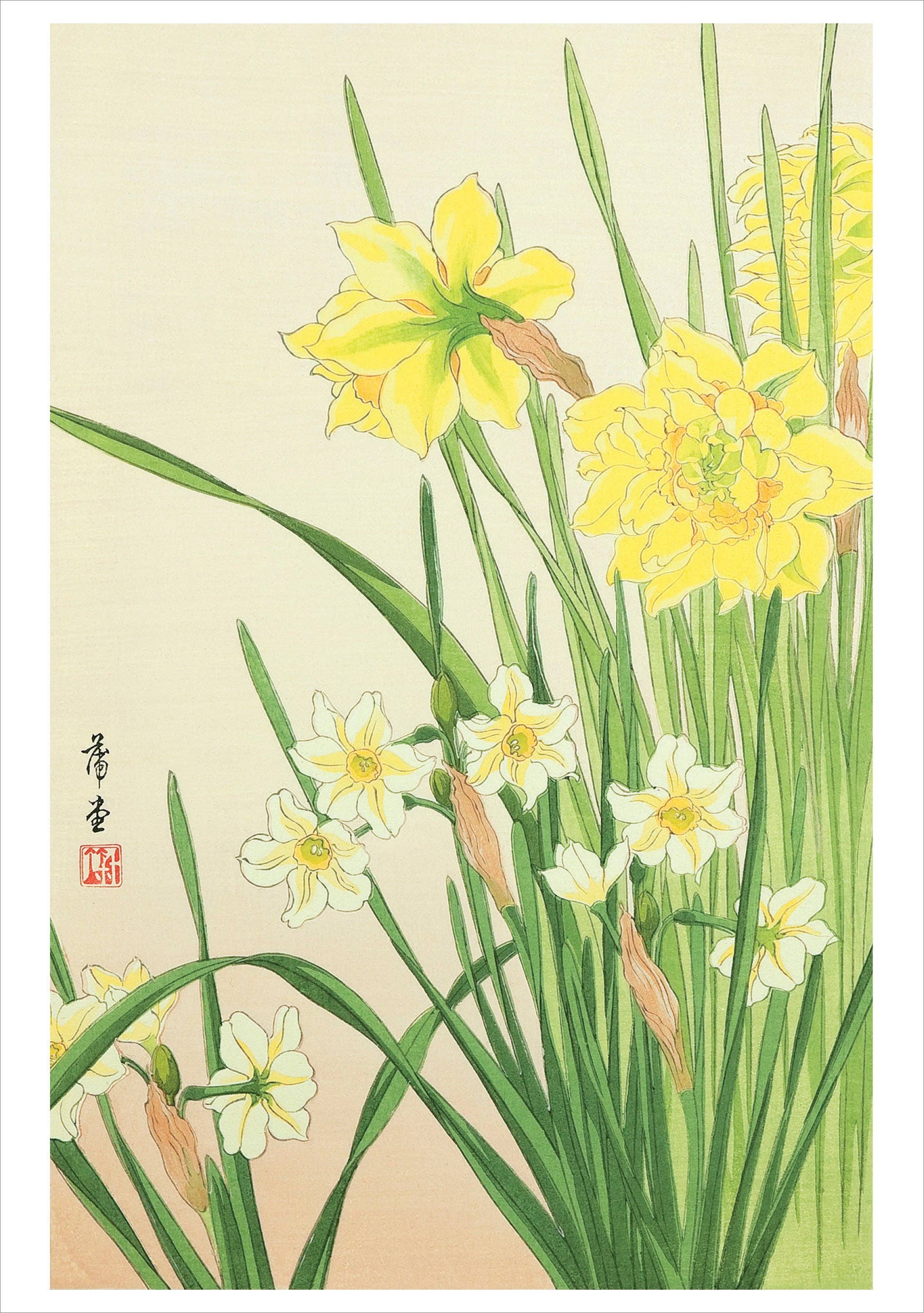 Pomegranate – wholesale Birthday card – Nishimura Hodō: Narcissus Birthday Card0