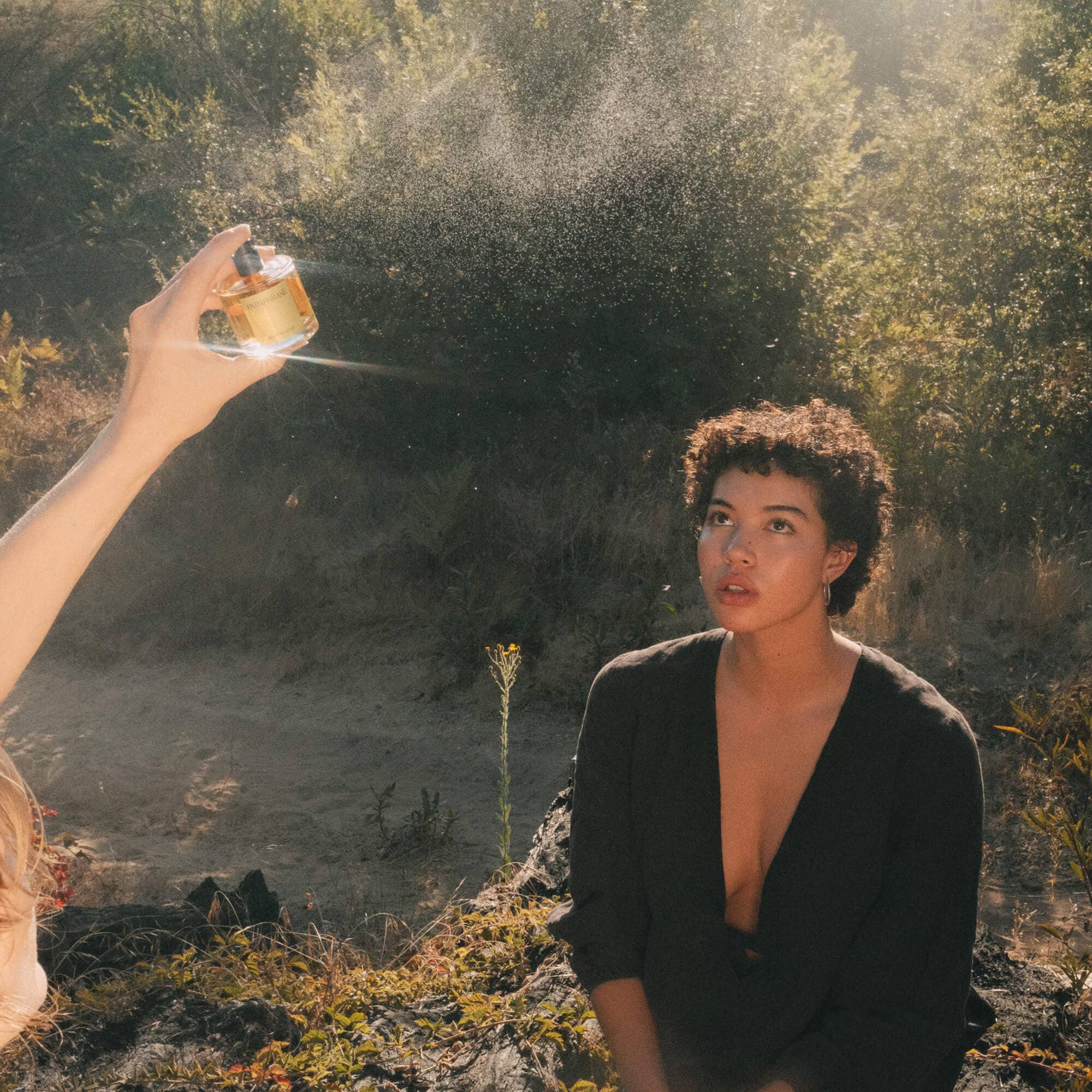 Paraphrase Perfume - Wholesale Perfume/Eau de Toilette - SOFT WOODS | CRISP CONIFER WOODS1