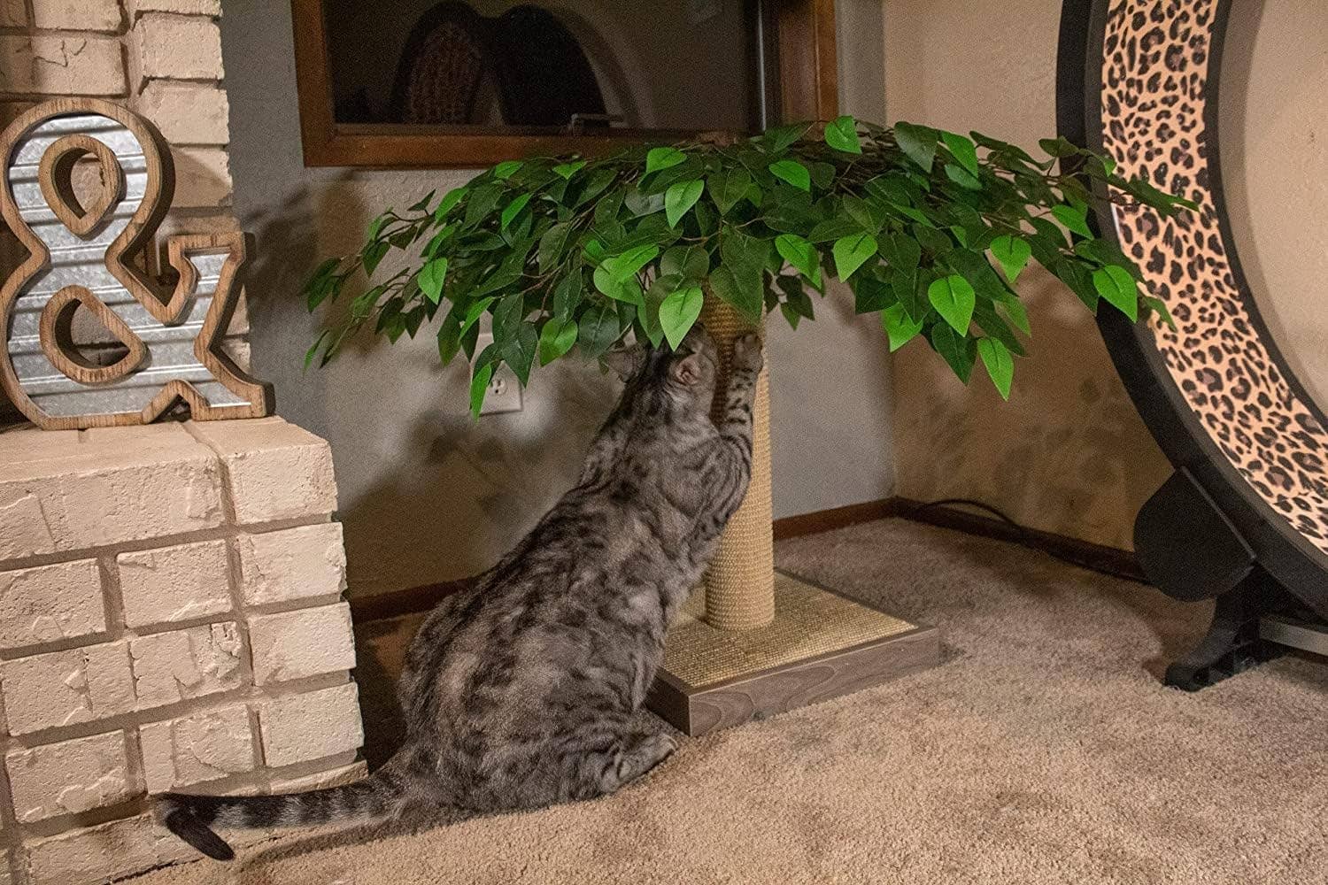 Midlee Designs - Vente Griffoir – chat - Griffoir pour chat décoratif en forme d'arbre1