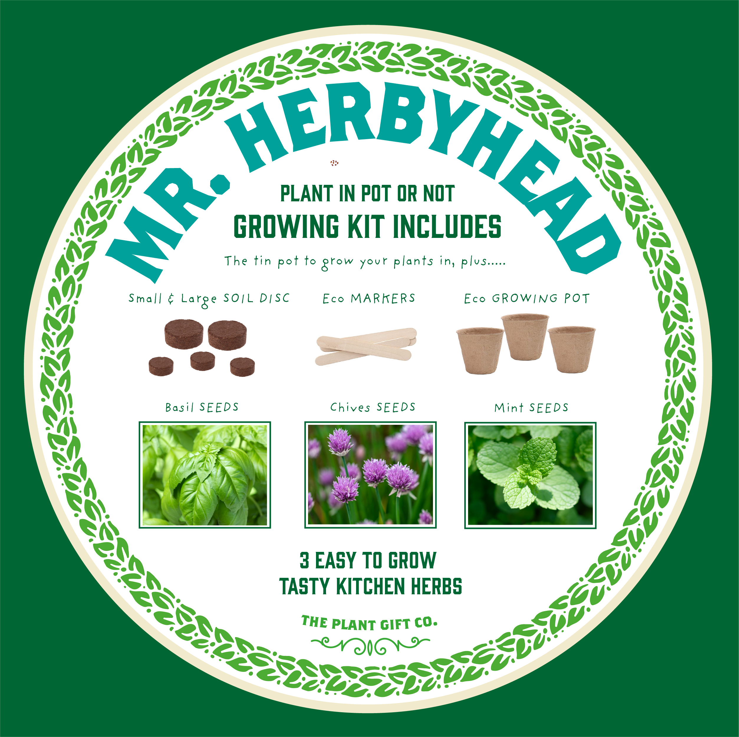 The Plant Gift Co. – wholesale Plant seeds – Mr. Herbyhead. Eco Grow Your Own Plant Kit, Gardening Gift.7