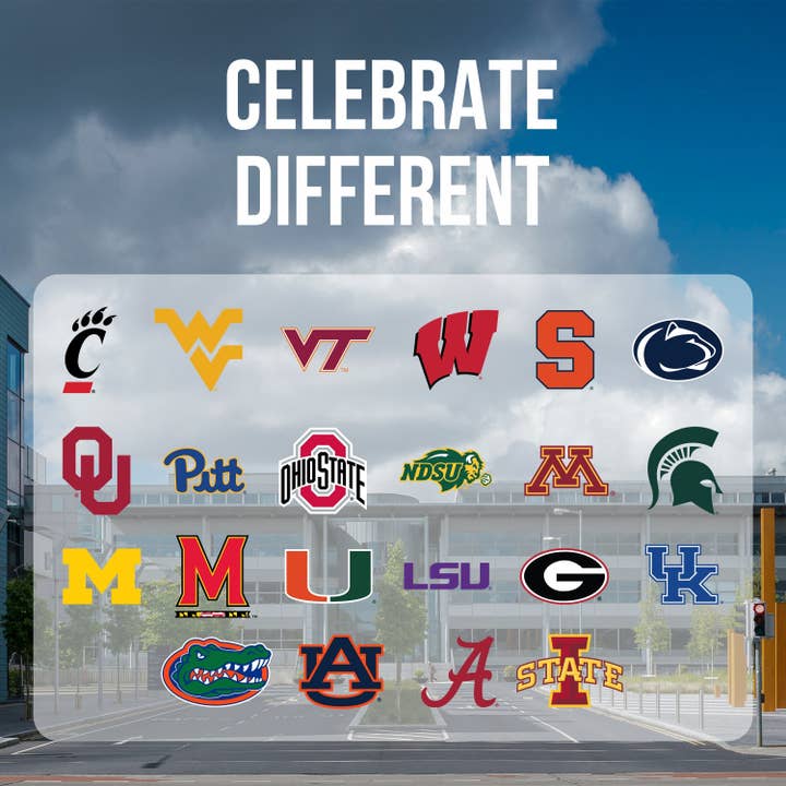 OrangeOnions - Wholesale Stuffed/Plush Toy - Kids & Baby - University of Wisconsin Bucky Badger 14 Inch Plush Figure4