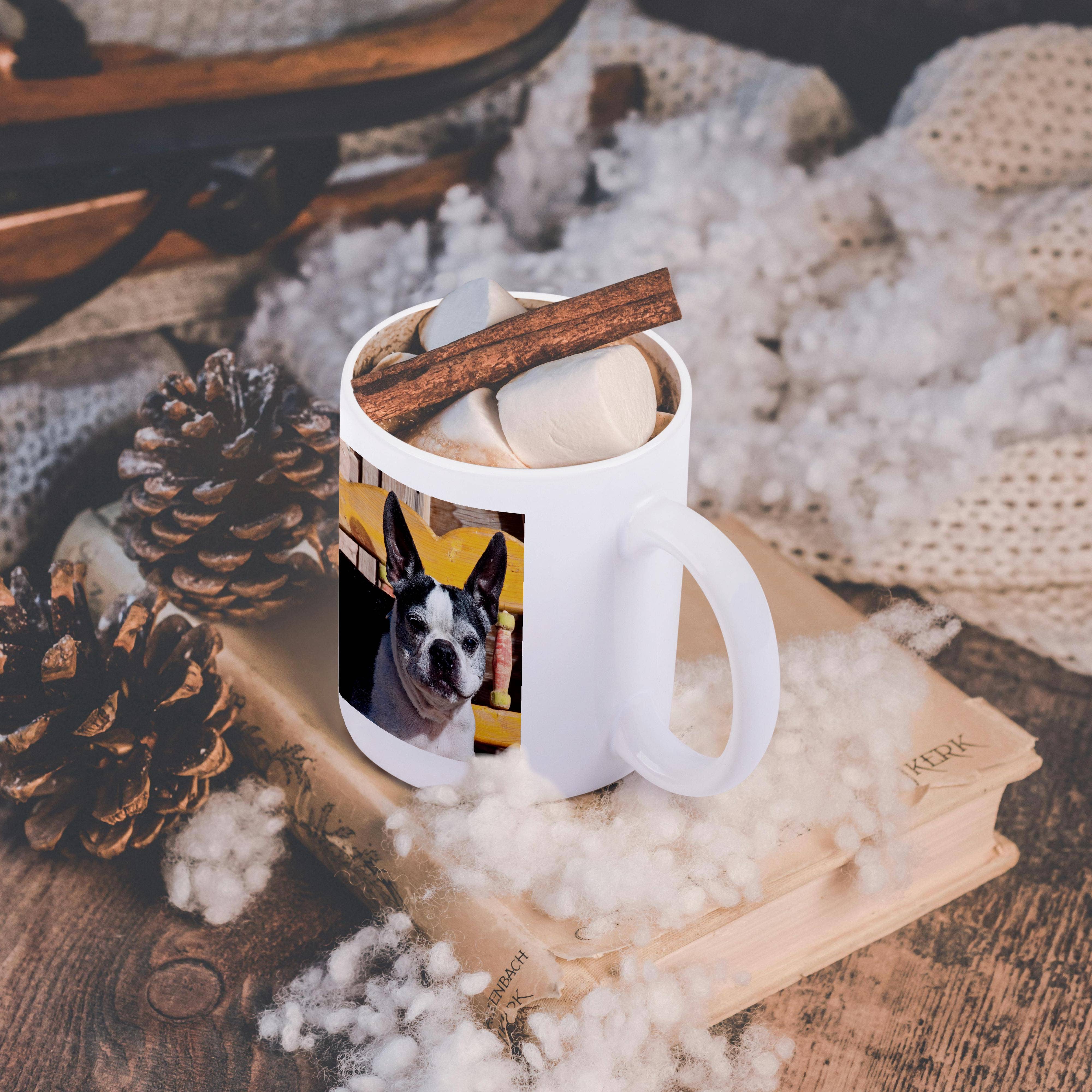3dRose - Wholesale Coffee Mug - 3dRose, A Boston Terrier dog on a painted bench - US32 ZMU0007 - Zandria Muench Beraldo, Mug11