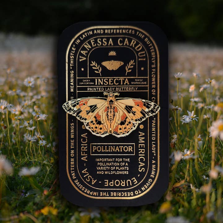 Pin's émaillé éducatif de papillon Belle-Dame pour la vente par Pinsects