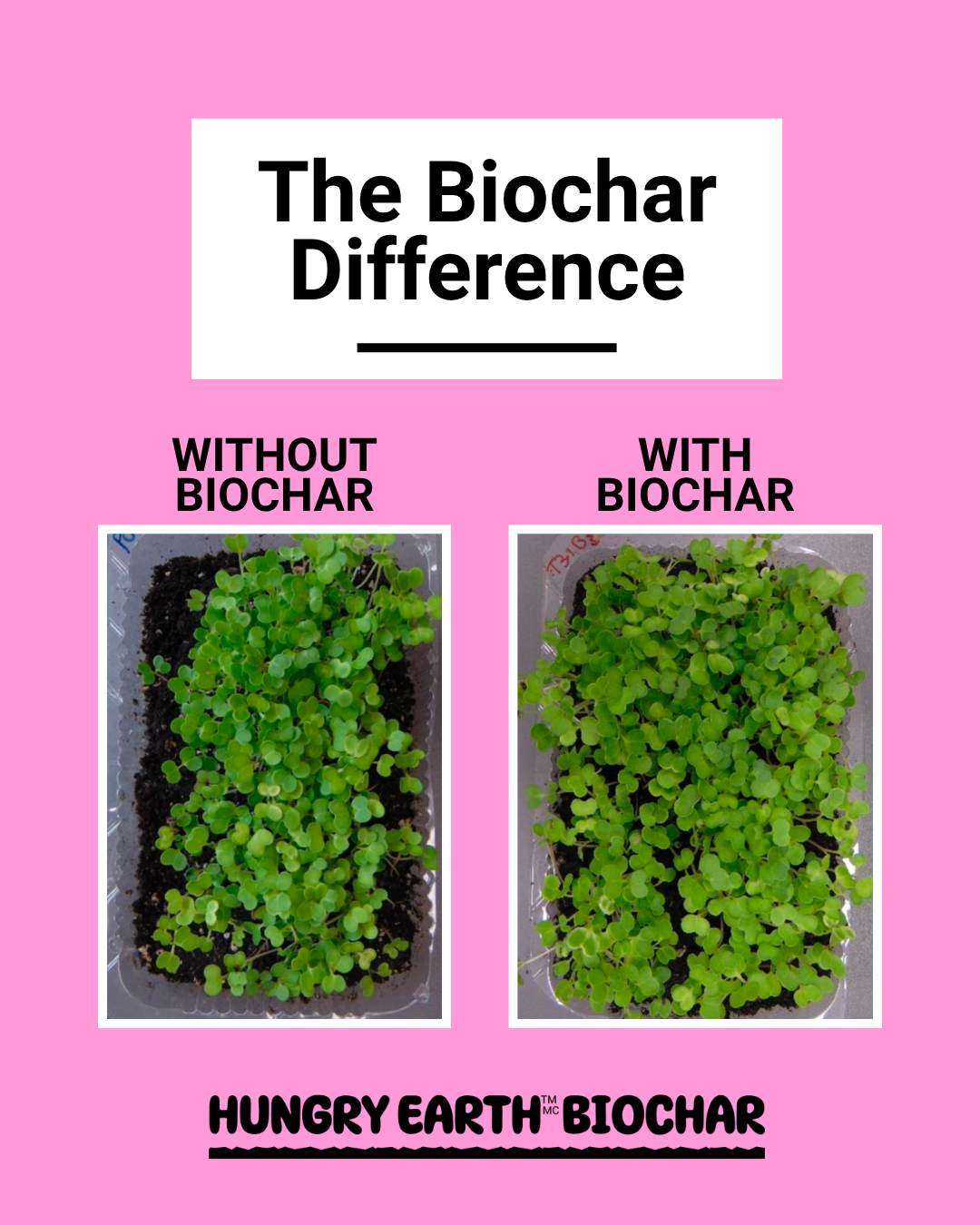 Hungry Earth Biochar – wholesale Gödsel – Hungry Earth Biokol3