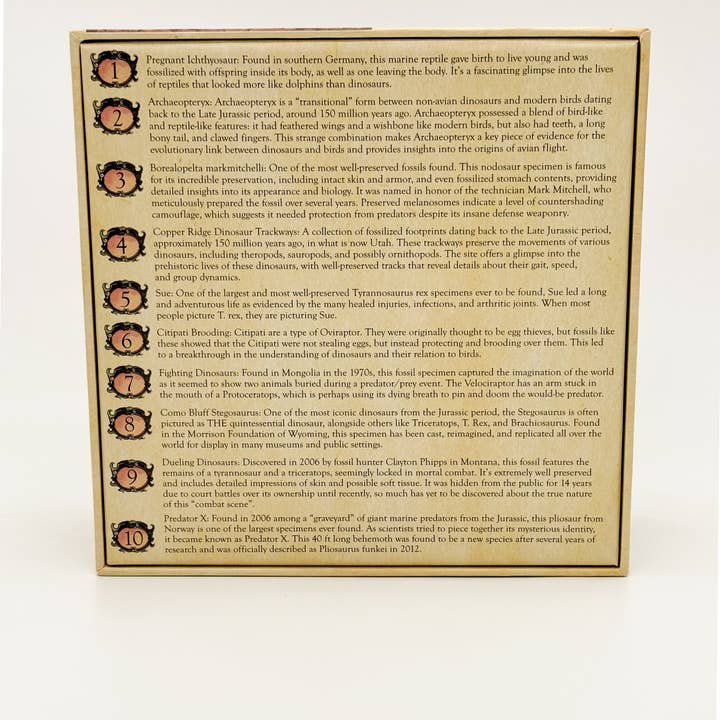 Montrose Biology – Großhandel Puzzle - Erwachsene – „Berühmte Fossilien“ Paläontologie-Puzzle (1k)