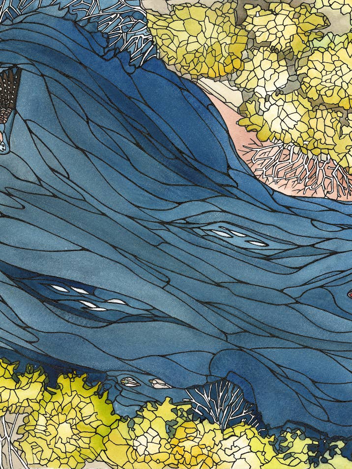 A hawk eye view card for wholesale by Mattie Rose Art