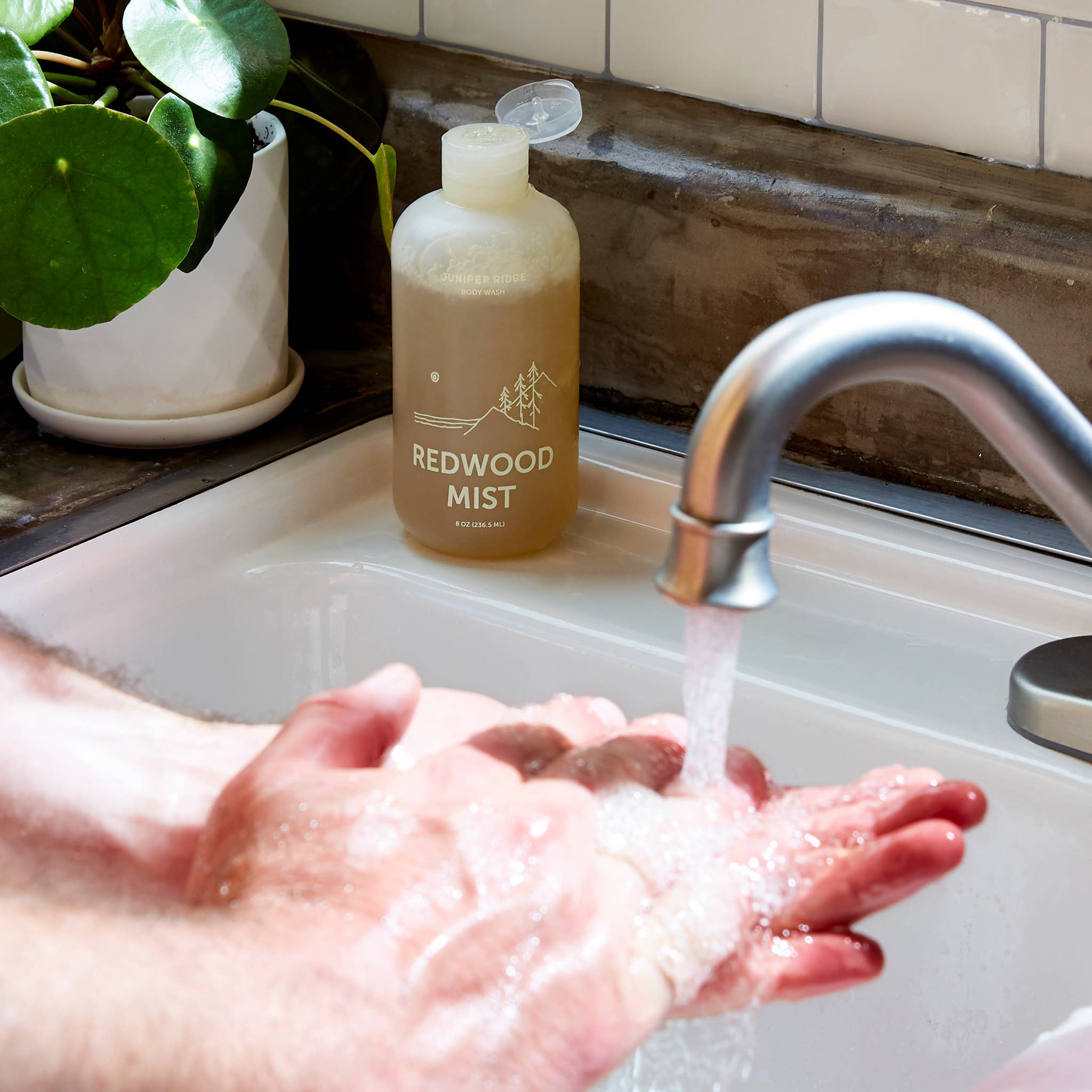 Juniper Ridge - Wholesale Body Wash/Shower Gel - Body Wash - Redwood Mist (8oz)2