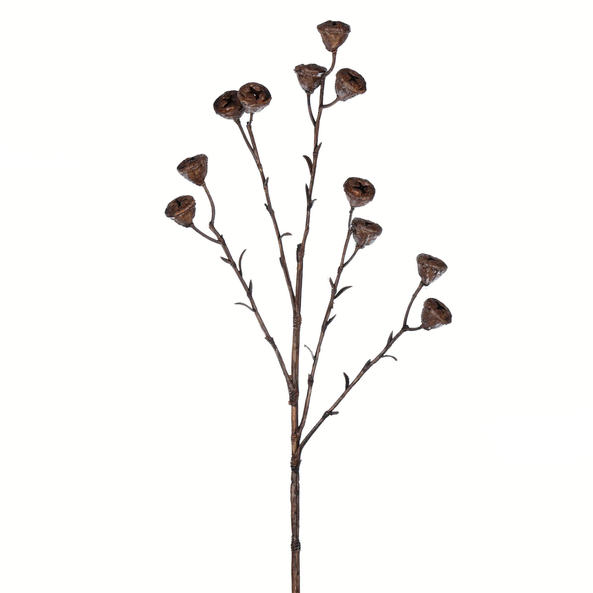 Vickerman 26" Brown Labill Spray 4/pk for wholesale on Faire0