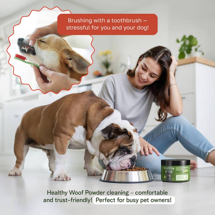 Healthy Woof - Wholesale Pet Supplement - Dog - Healthy Woof Dog Dental Powder for clean teeth – Small size1