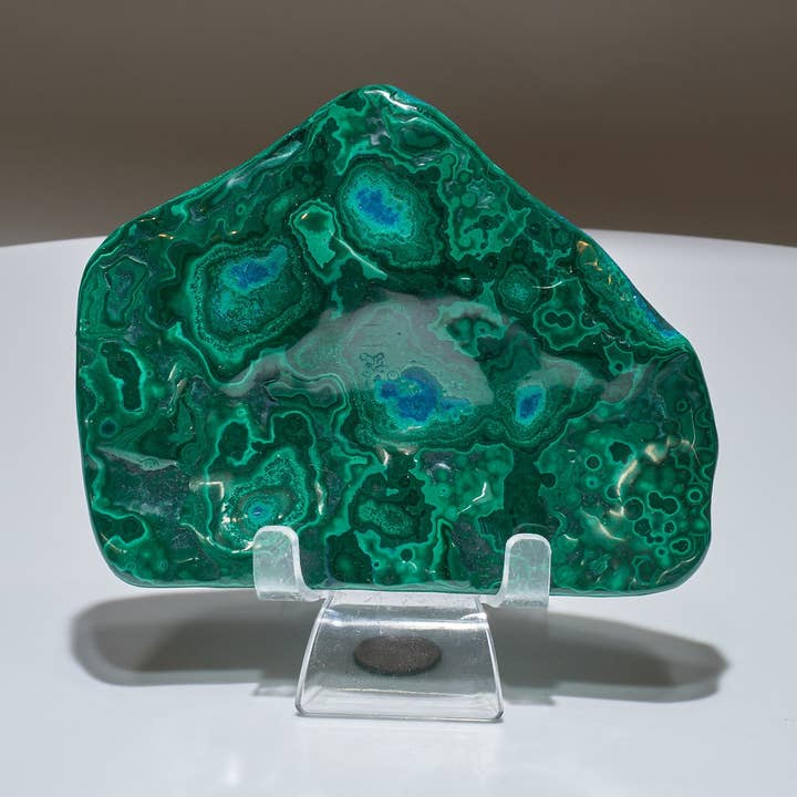 0.76 LB Polished Malachite & Chrysocolla Freeform and other Purchase Wholesale freeform. Free Returns & Net 60 Terms on Faire trending on Faire.