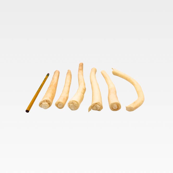 Wildfoodie - Wholesale Pet Treats - Dog - 6-8″ Cow Tail2