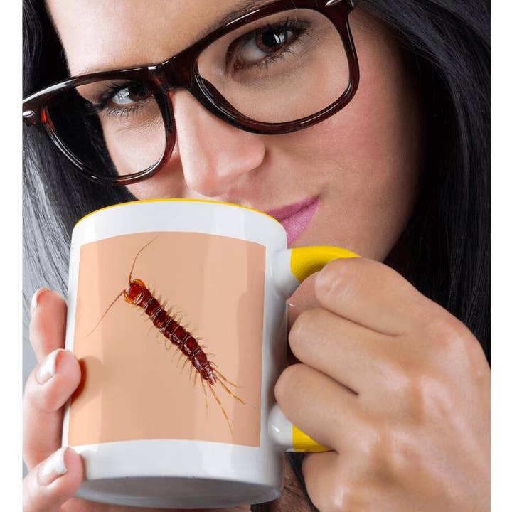 3dRose - Wholesale Coffee Mug - 3dRose, Centipede, picture of a centipede on an orange background, Mug1