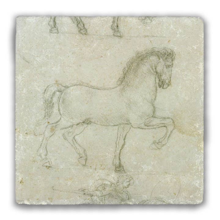 Nelson Gifts Wholesale - Wholesale Coasters - Studio di Cavalli (Horse Study) by Da Vinci Tumbled Stone Coaster