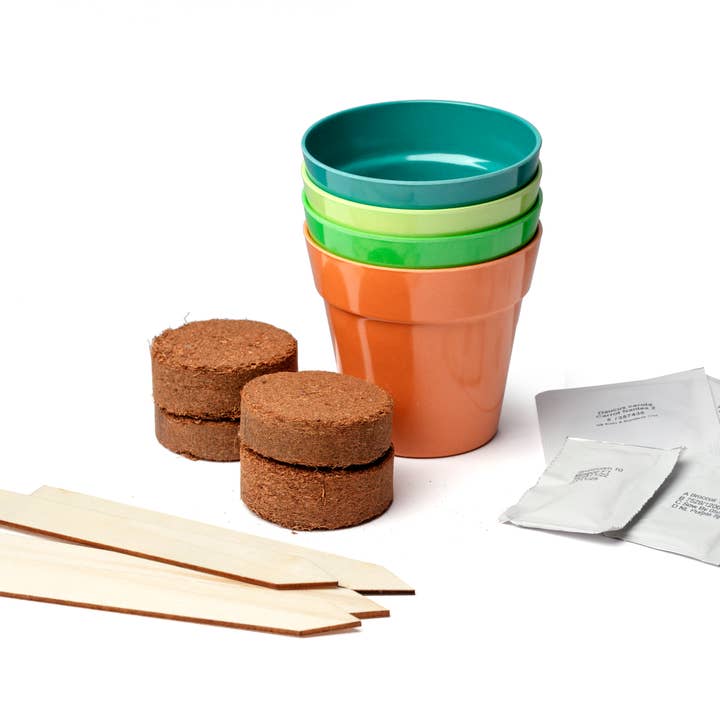 Gardening for Kids Ltd – wholesale Plant seeds – Grow Your Own Bee and Butterfly Garden Seed Growing Kit