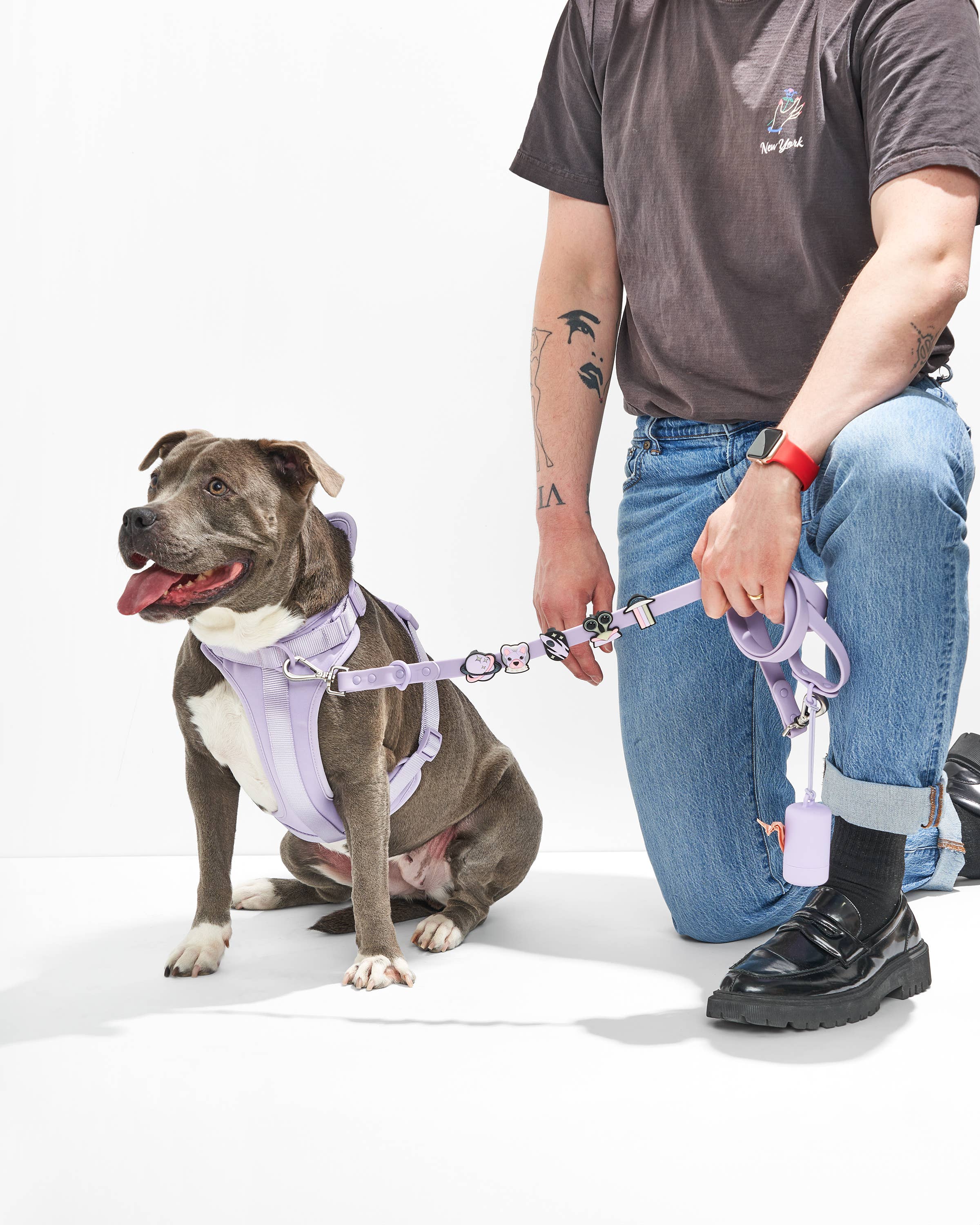 Wild One - Wholesale Pet Collar Charm - Cat/Dog - Flair Collar and Leash Charm Pack Accessories2