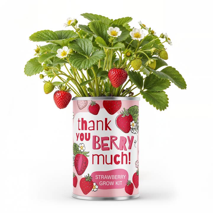 Alphabet Gifts - Wholesale Zaadjes voor platten - Dank Je Aardbei Veel! – Aardbeien Kweekset Cadeau0