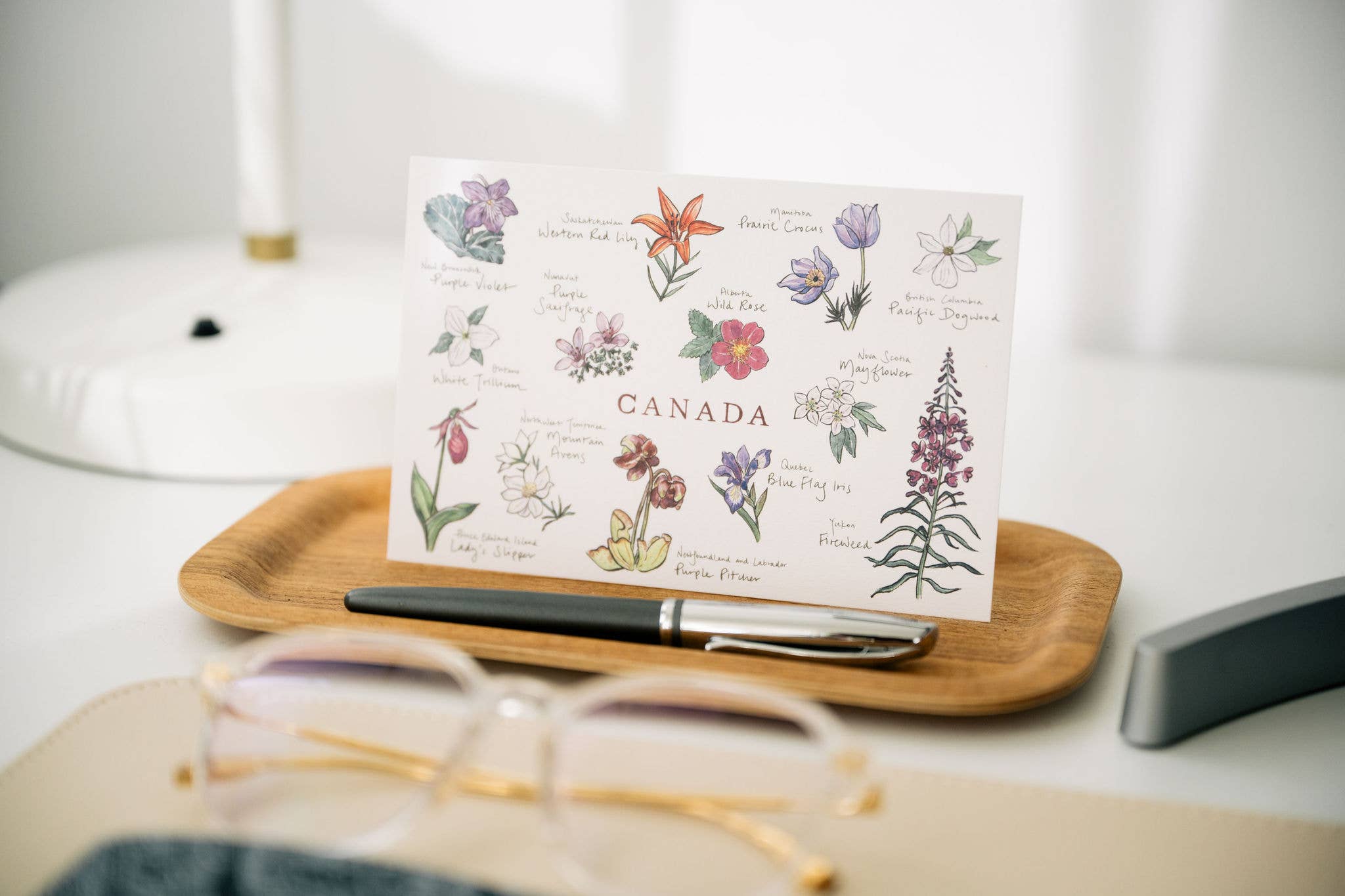 Gotamago - Wholesale Postcard - Canadian Floral Emblems Postcard1