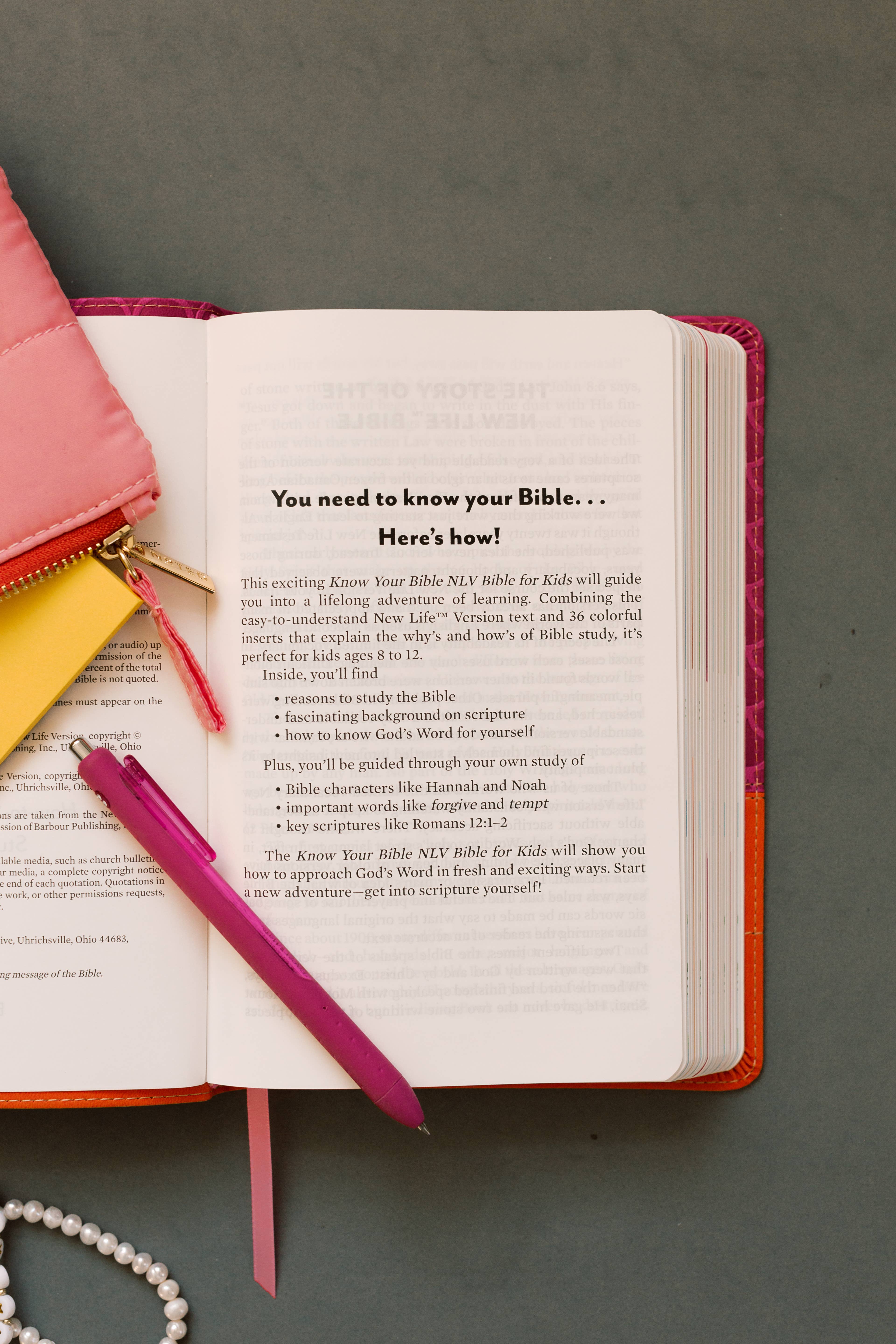 Barbour Publishing, Inc. - Wholesale Religion - Know Your Bible NLV BIble for Kids [Girl cover]4