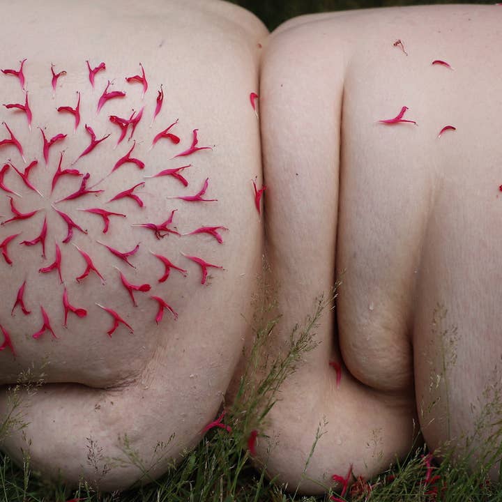 Petal Rolls for wholesale by Shoog McDaniel