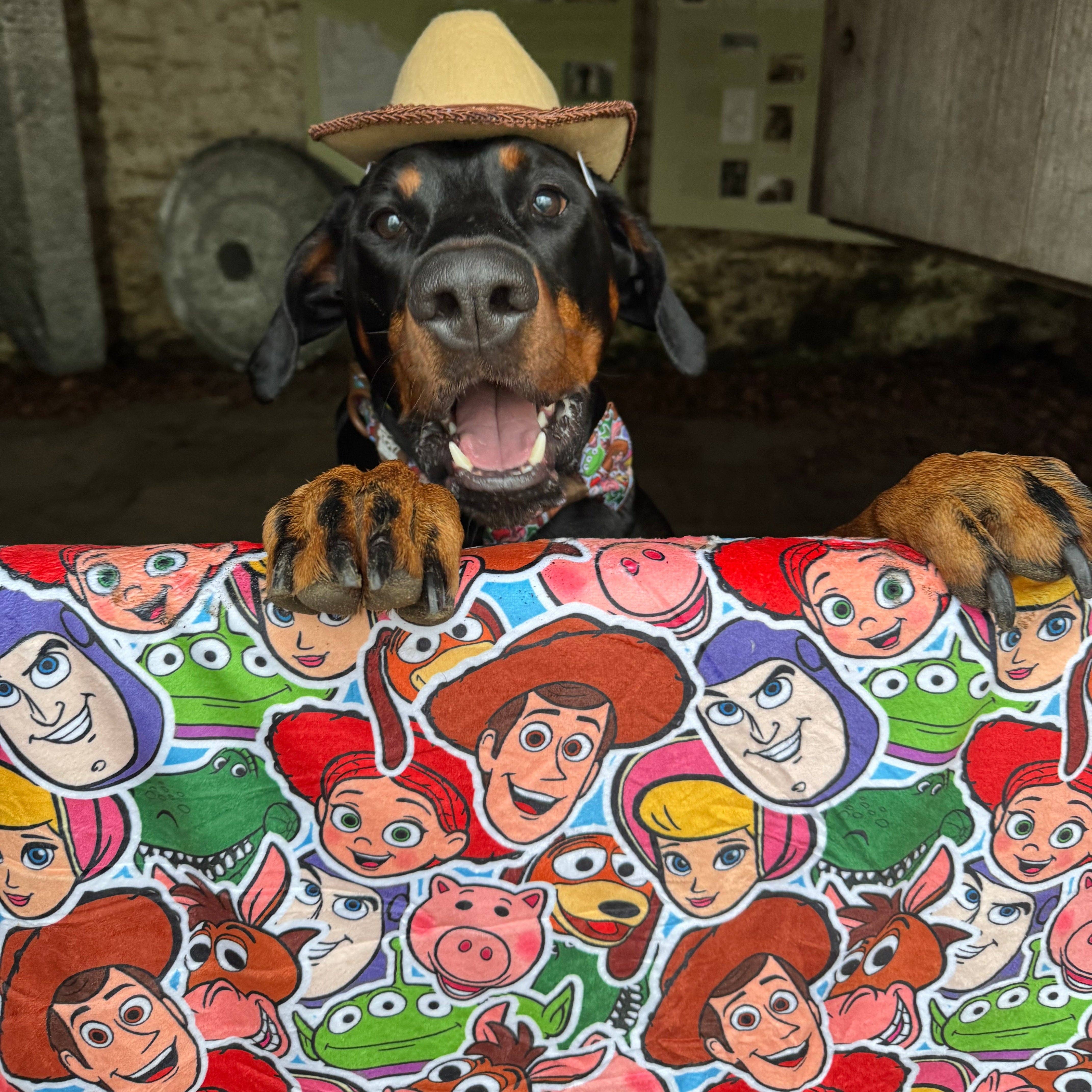 Pawsome Paws – Engroshandel Tæppe til kæledyr - Hund – Disney© hundetæppe - Toy Story venner10