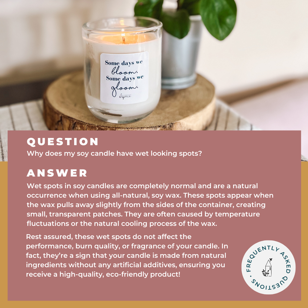 Illuminate Space - Wholesale Jar/Filled Candle - It's too peopley outside Soy Candle, Large6