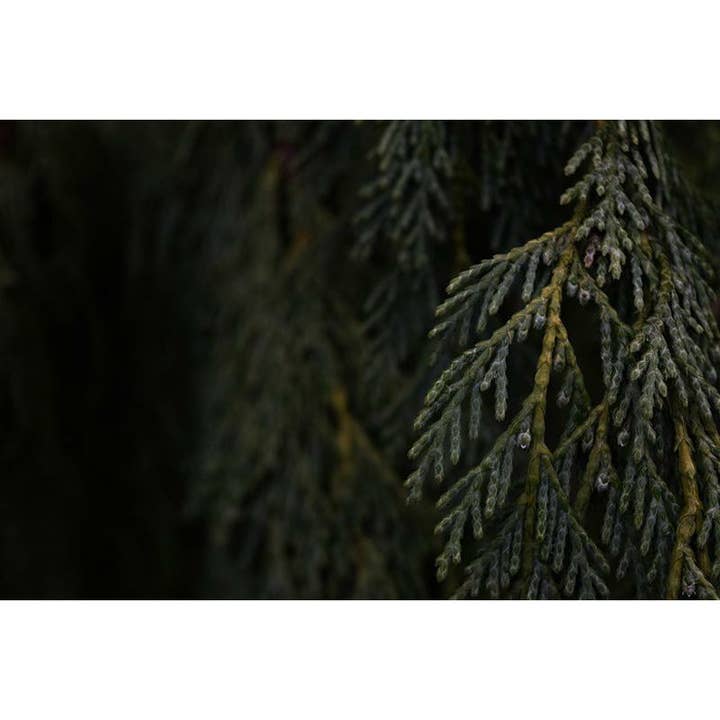 Traversée EDP for wholesale by Fragrapedia Haus