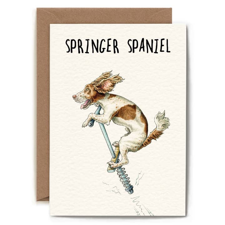 Bewilderbeest - Wholesale Everyday Greeting Card - Springer Spaniel Card - Everyday Card - Funny1