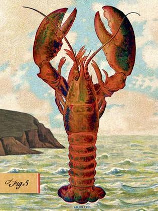 SB508 Single Seaside Card - Lobster for wholesale by Cartolina Cards Inc.