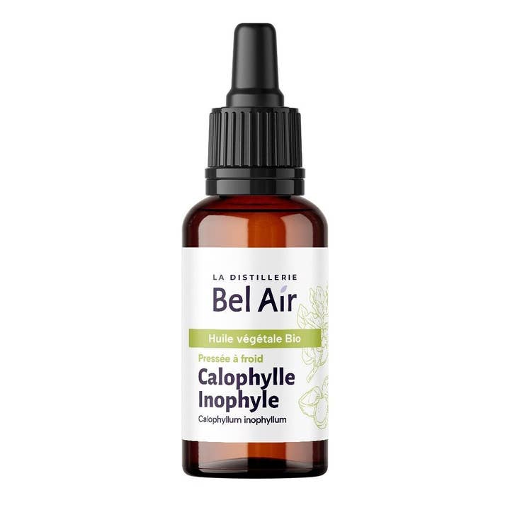 Calophyllum - Ekologisk oljemacerat Cosmos för wholesale av Distillerie Bel Air