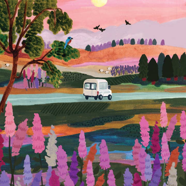 Van Life | 500 stycken för wholesale av Quiette