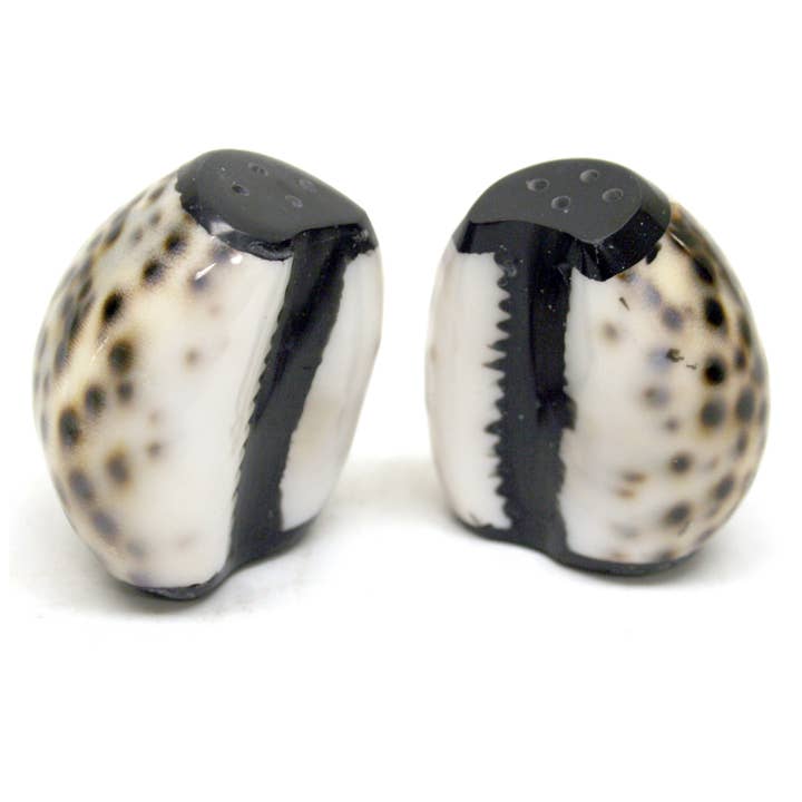 Housewares & Tabletops by Contrast Inc. - Wholesale Zout-en pepersetje - Cowrie Shell Zout- en peperschudbeker Set van 21