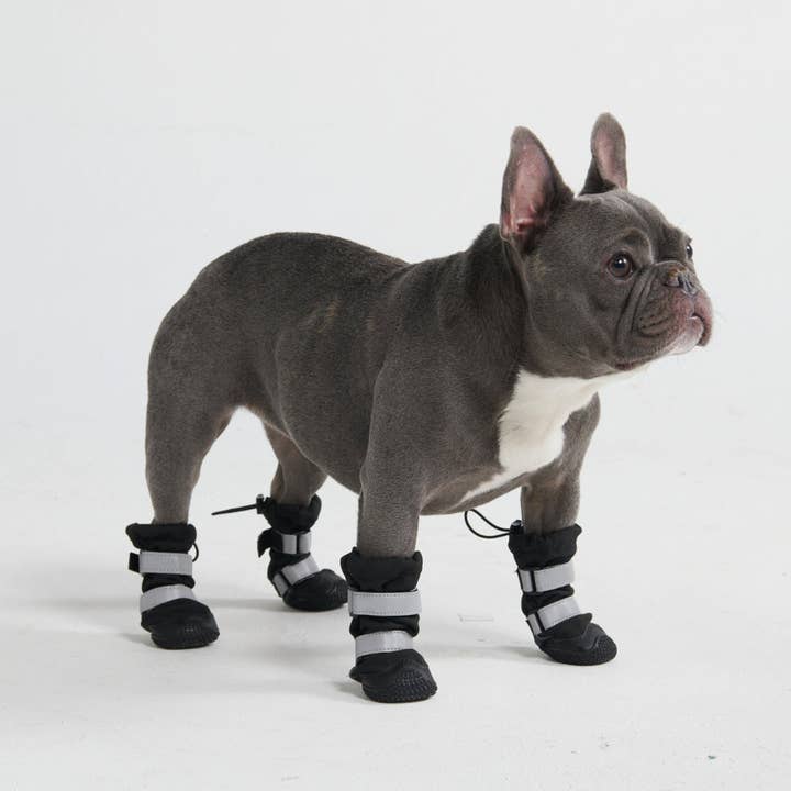 Spark Paws - Vente Bottines – chien - Bottes pour chiens résistantes à l'eau Flex Shell - noires