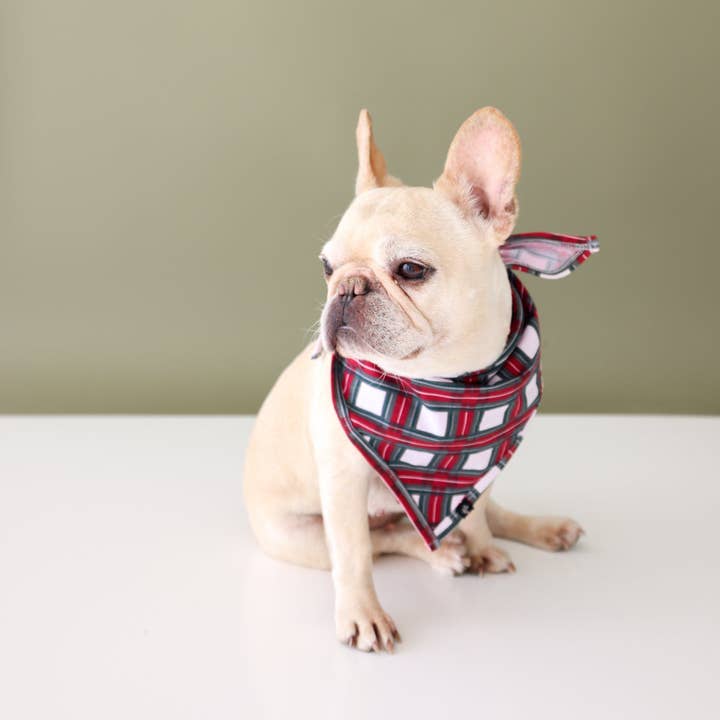 LTHD21DB01 Lola & Taylor - Bandana de tartán blanco para perros para venta al por mayor de Lola & Taylor