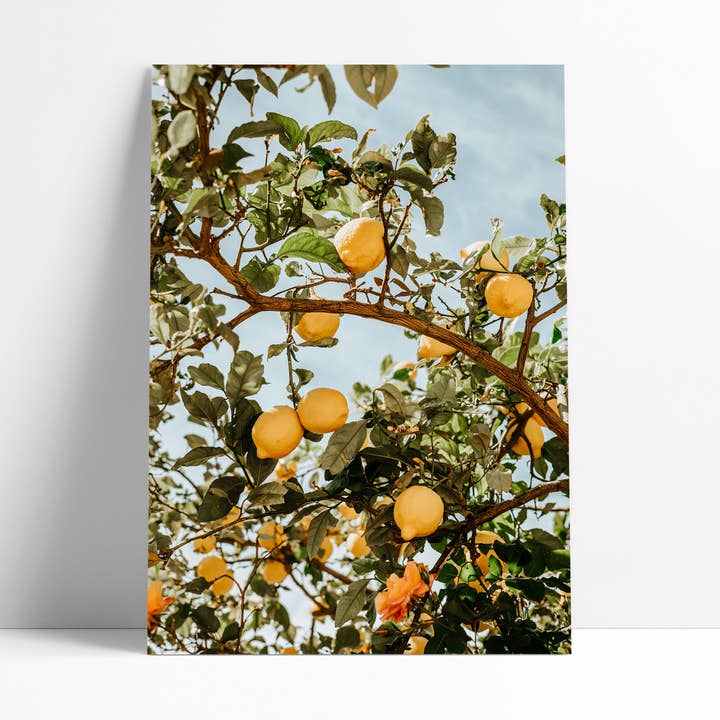 30 x 40 poster - Lemon tree - 23615 for wholesale by David & David Studio