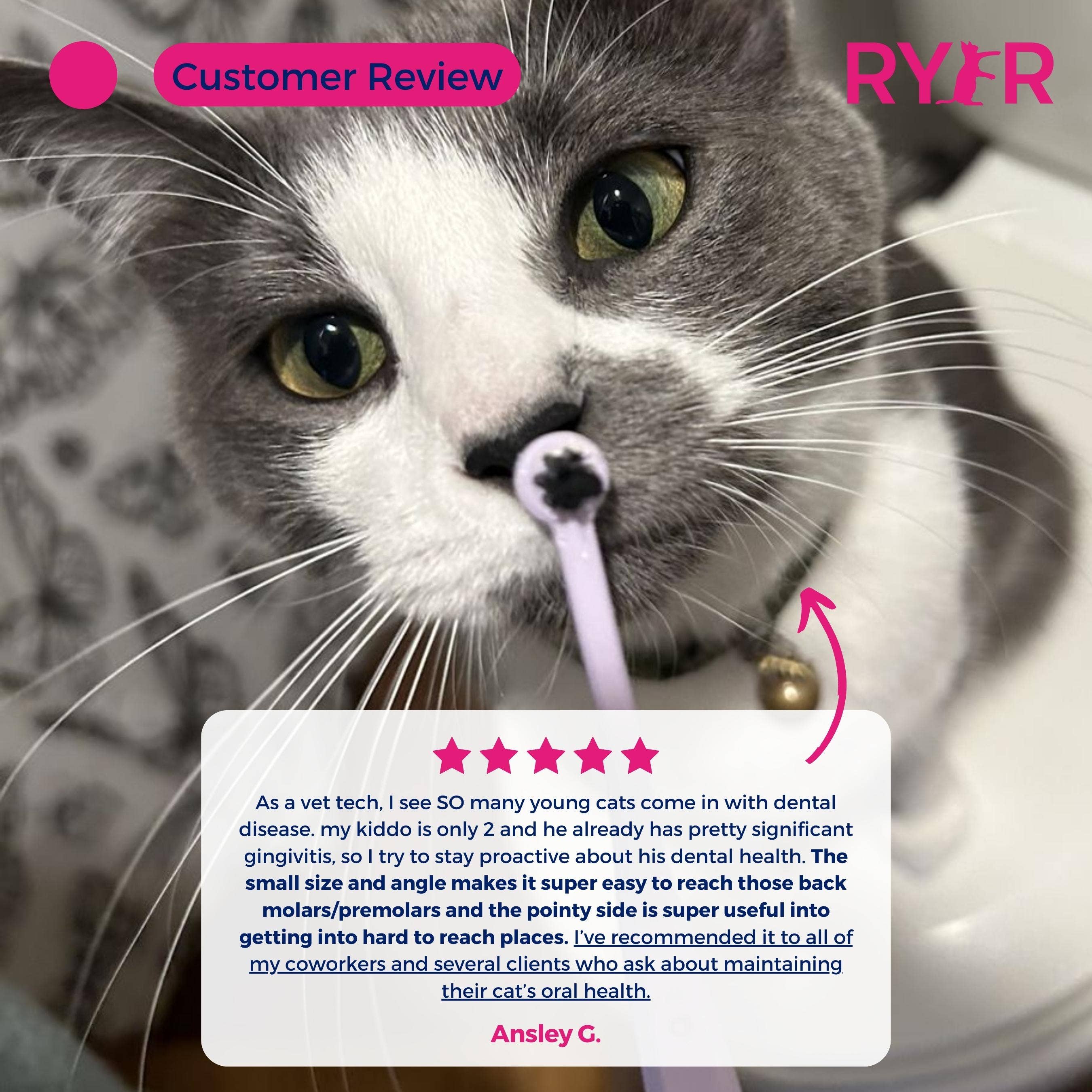 RYERCAT - Vente Brosse – chat et chien - Lot de brosses à dents à micro-tête et double face pour chat, couleurs mélangées !10