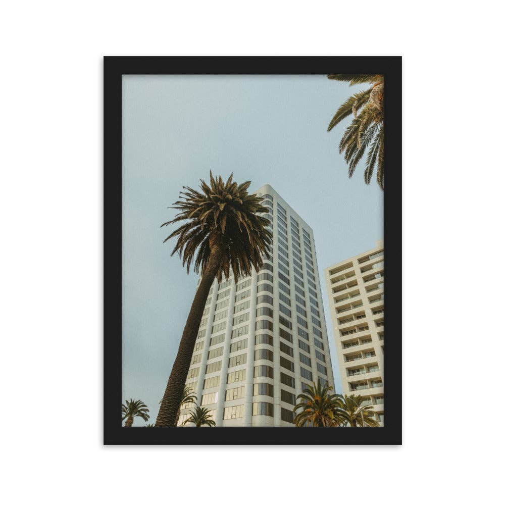 Studio Teddy - Wholesale Poster - Jeffery Matthews - Palms - Framed matte paper poster0