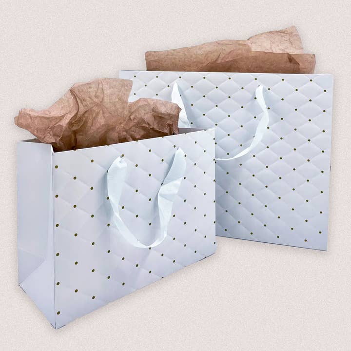 ByHome - Wholesale Gift Bag - 12pcs, 2 size light blue dot wavy surface gift bag w/ tissue