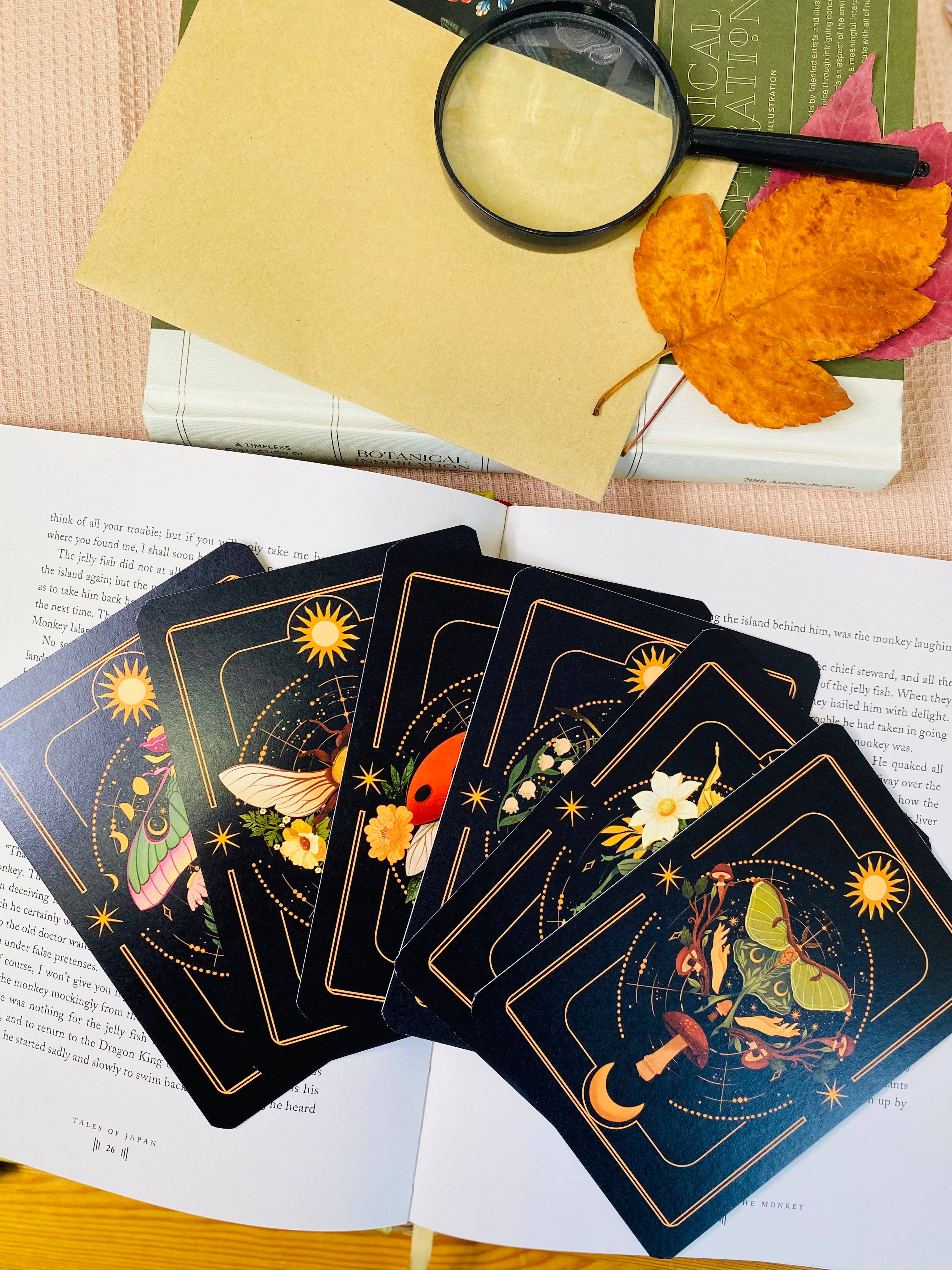 Split Moon Studios - Wholesale Art Print - A Set of Insect Art Prints - A6 Post Card Size - Artprint24