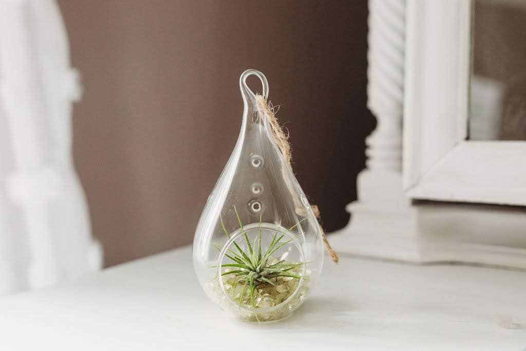 The Simply Crafty Shop - Wholesale Terrarium - Pear Shape Terrarium Kit- Semi-Precious Stone33
