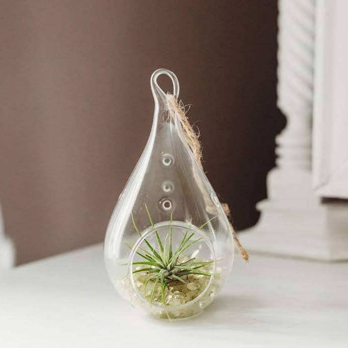 The Simply Crafty Shop - Wholesale Terrarium - Pear Shape Terrarium Kit- Semi-Precious Stone33