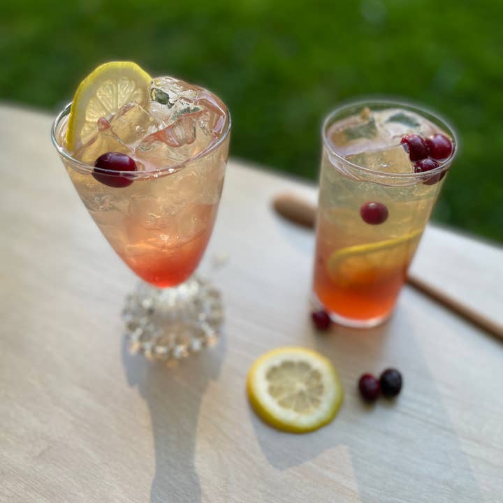 MOTHER shrub - Wholesale Cocktail Mix/Syrup - MOTHER shrub Cranberry
