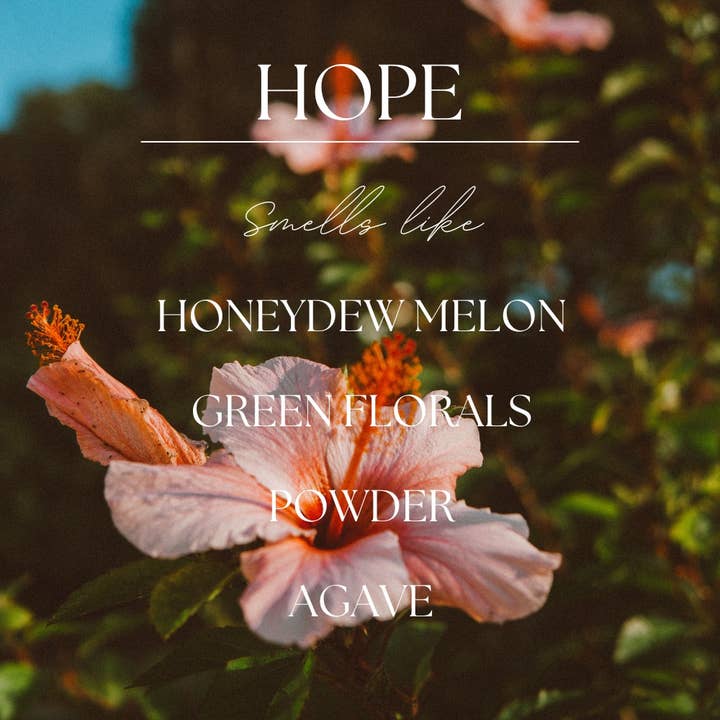 Modern Roots Candle Co. - Wholesale Wax Melt - Hope | Hibiscus & Agave | 2.4 oz. Soy Wax Melt1