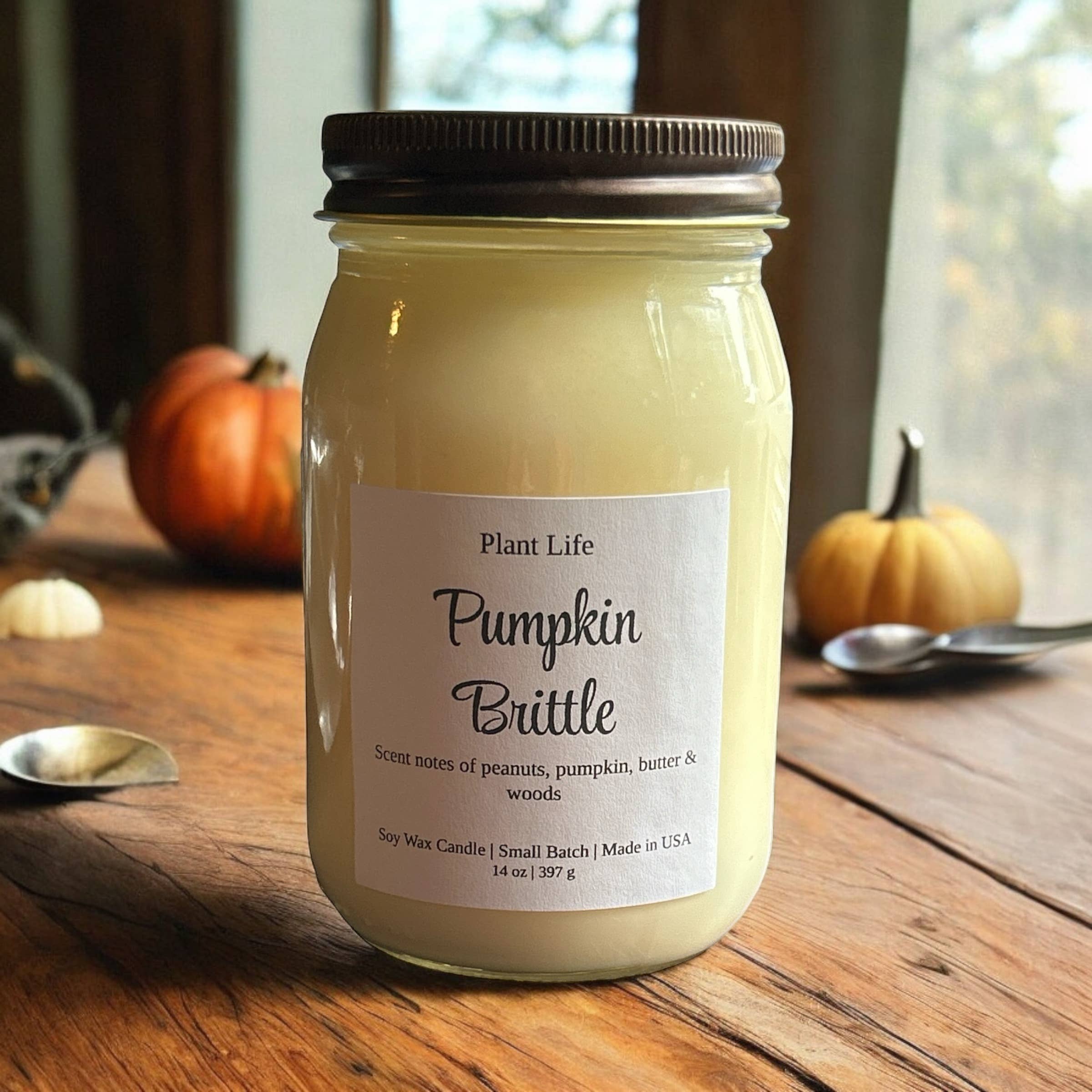 Plant Life - Wholesale Jar/Filled Candle - Mason Jar Candle - 16 oz 2