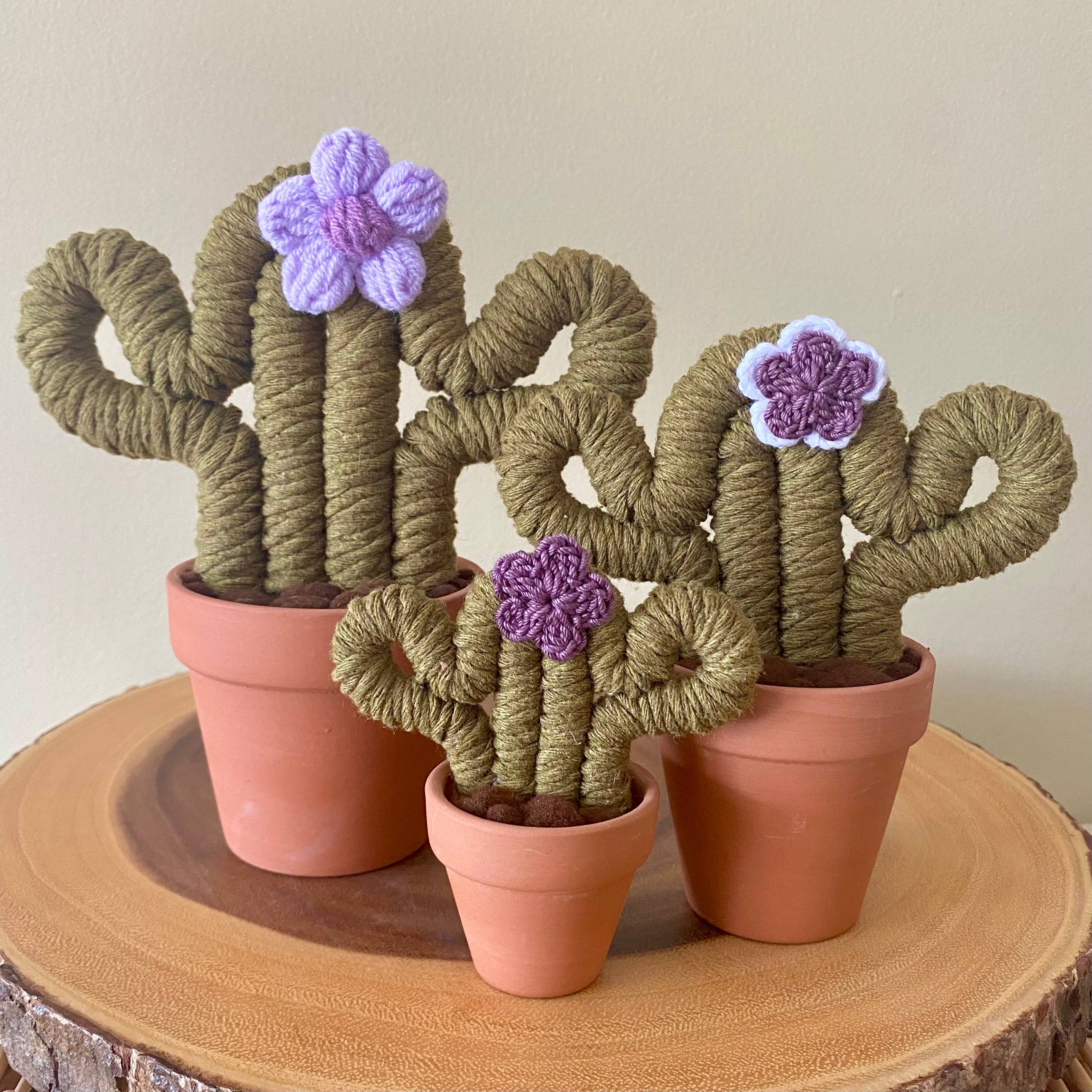 ForgetBKnot - Wholesale Decorative Tabletop Object - Macrame Cactus Forever Plant (Mini)3