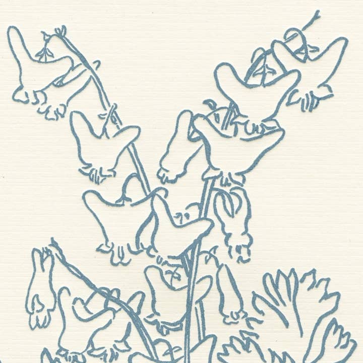 Culotte Dutchman's • Impression d'art pigmentaire minérale typographique pour la vente par Justina Freel