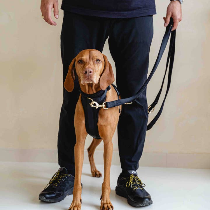 GULA DOG CARE - Wholesale Pet Harness - Dog - Dog Harness NEW - All Black8