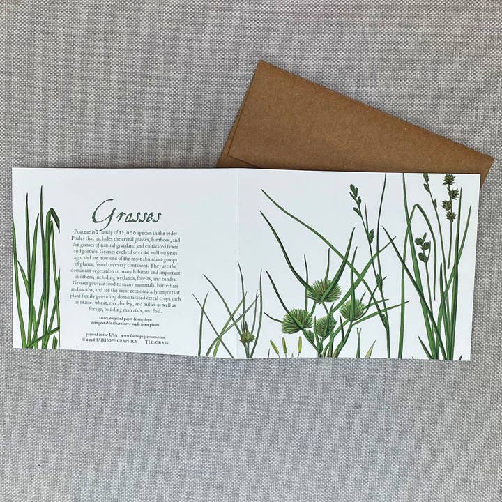 Fairhope Graphics - Wholesale Everyday Greeting Card - Grasses Card